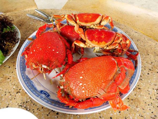 Cua Huỳnh Đế Lý Sơn - Đặc Sản Biển Đảo Nổi Tiếng